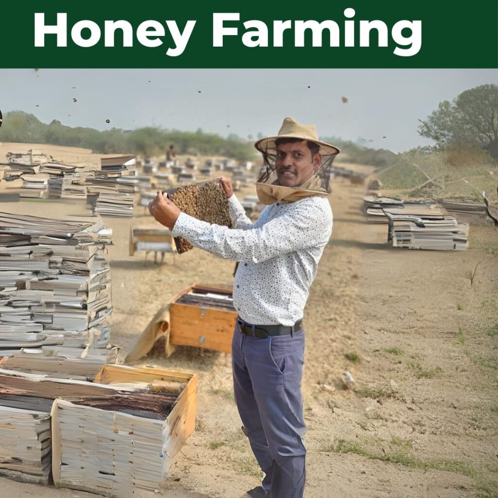 harvesting raw honey direct from farm